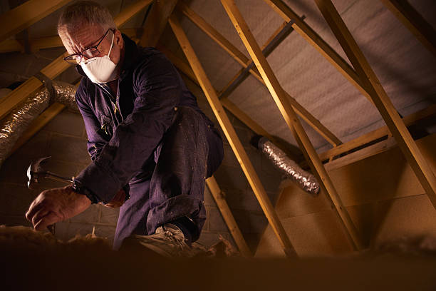 Best Eco-Friendly Insulation in Coffeyville, KS
